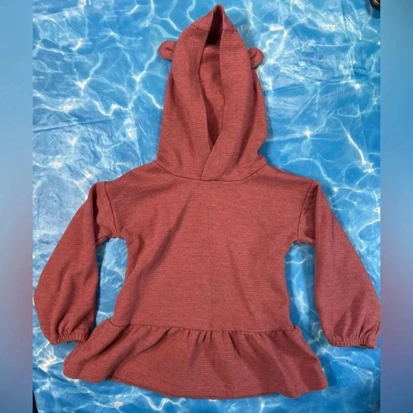 Carter's Child of Mine - 2T - Burgundy-ish Long Sleeve Top w/ Hood  + Ears - Picture 1 of 3